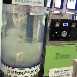 蓝藻处理微纳米气泡发生器 臭氧微纳米气泡机 纳米微气泡发生器