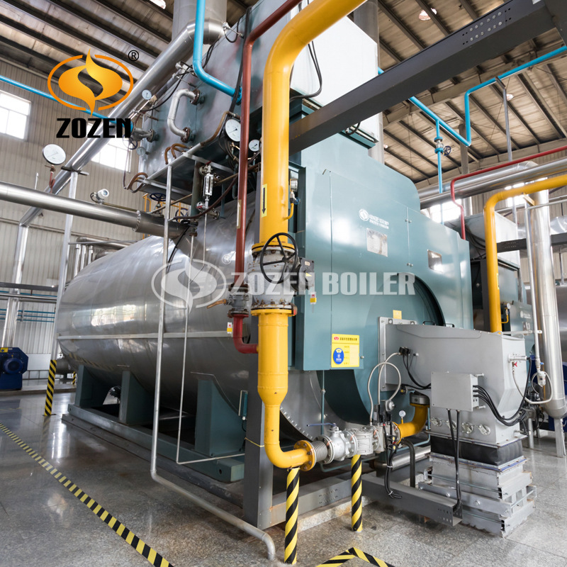 蒸汽鍋爐WNS (20)