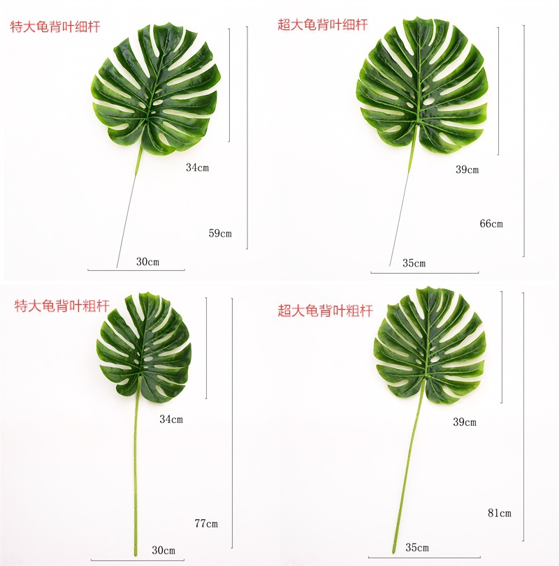 9897966017_1652598310_副本_副本_副本