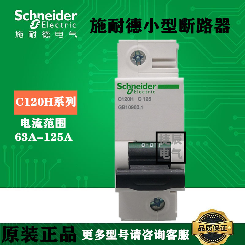 原厂正品小型空气开关断路器C120H  1P  C125A  A9N19824