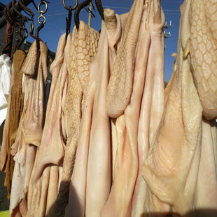 ���r��ţ�� ţ��� ��C�� ���C�ຣ��ţ�����l �Ƶ��ţ�ǃr��