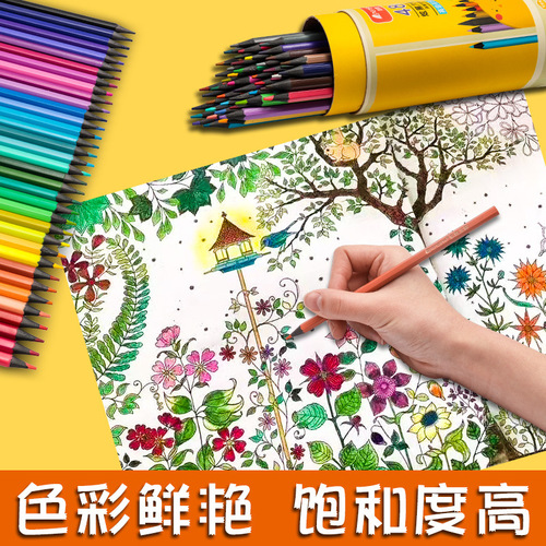 12 Color Cartoon Animal Colored Leads 48 Pens Student Painting Stationery Colored Pencils Multi-Color Environmentally Friendly Oily Colored Leads Manufacturer