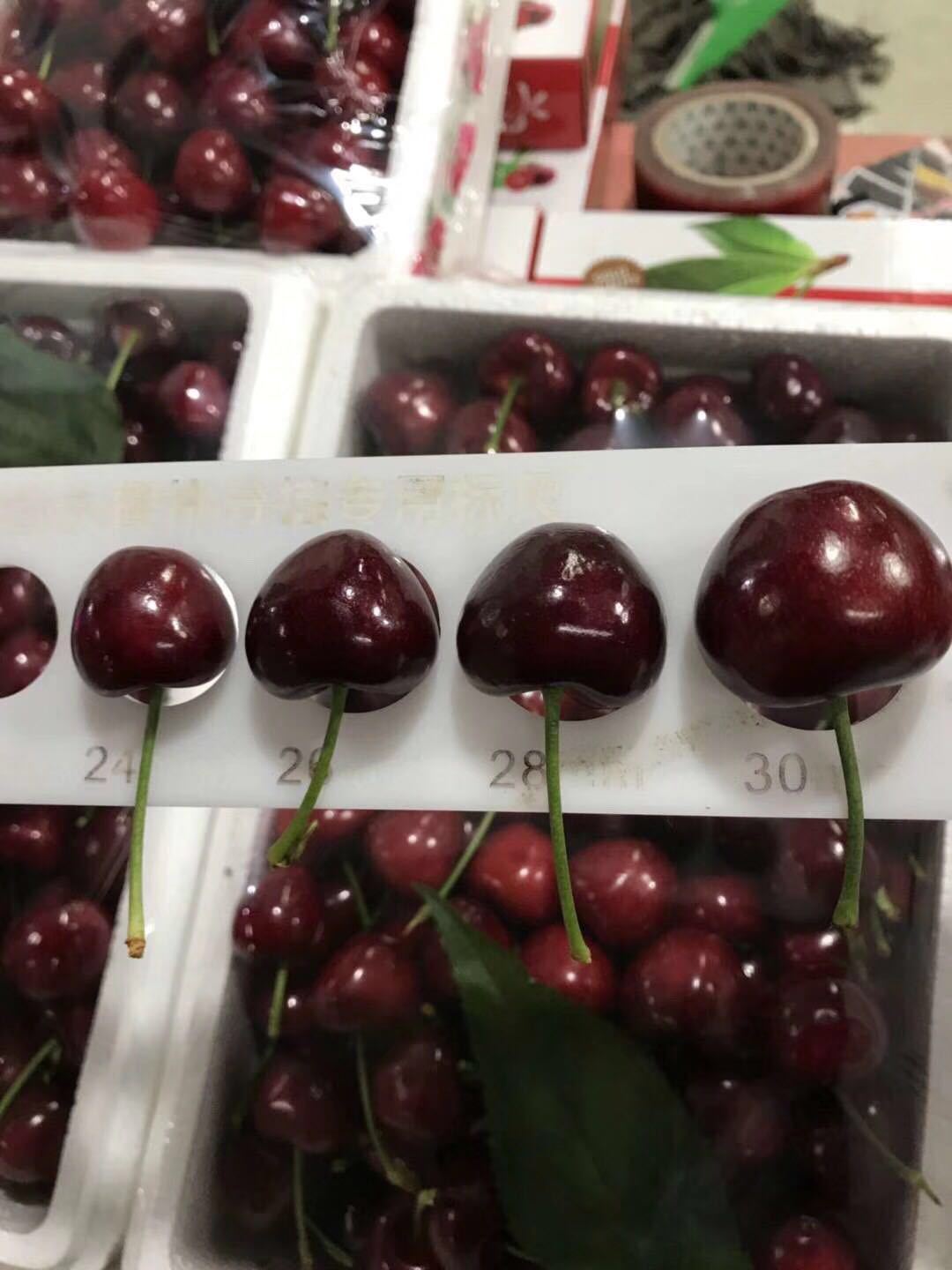 微信图片_201903211115568