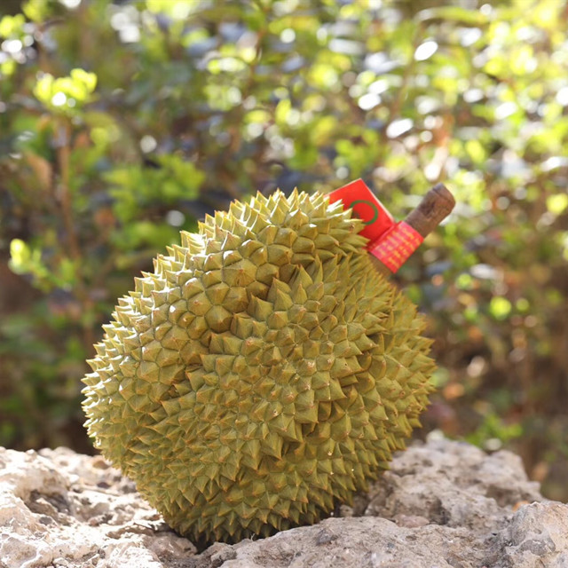 泰国甲仑榴莲新鲜进口水果带壳榴莲肉初代榴莲非猫山王金枕头榴莲