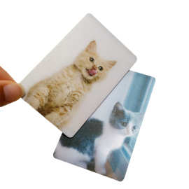 全新料PVC材质宠物萌宠图案定制印刷磨砂高档工艺提供图片可印刷