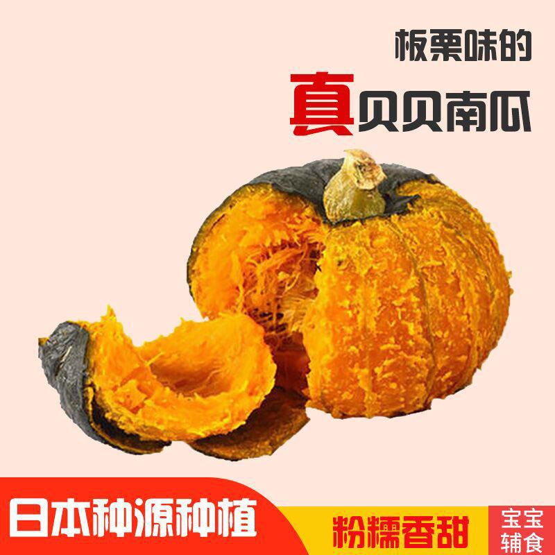 贝贝南瓜 板栗南瓜 日本瓜种老南瓜小南瓜 代发 2.5kg (5斤)包邮