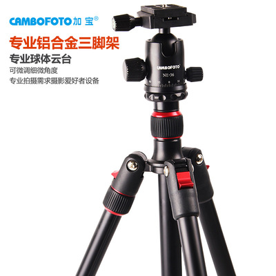 加宝TM264三脚架套装单反相机摄影支架可单脚批发订制
