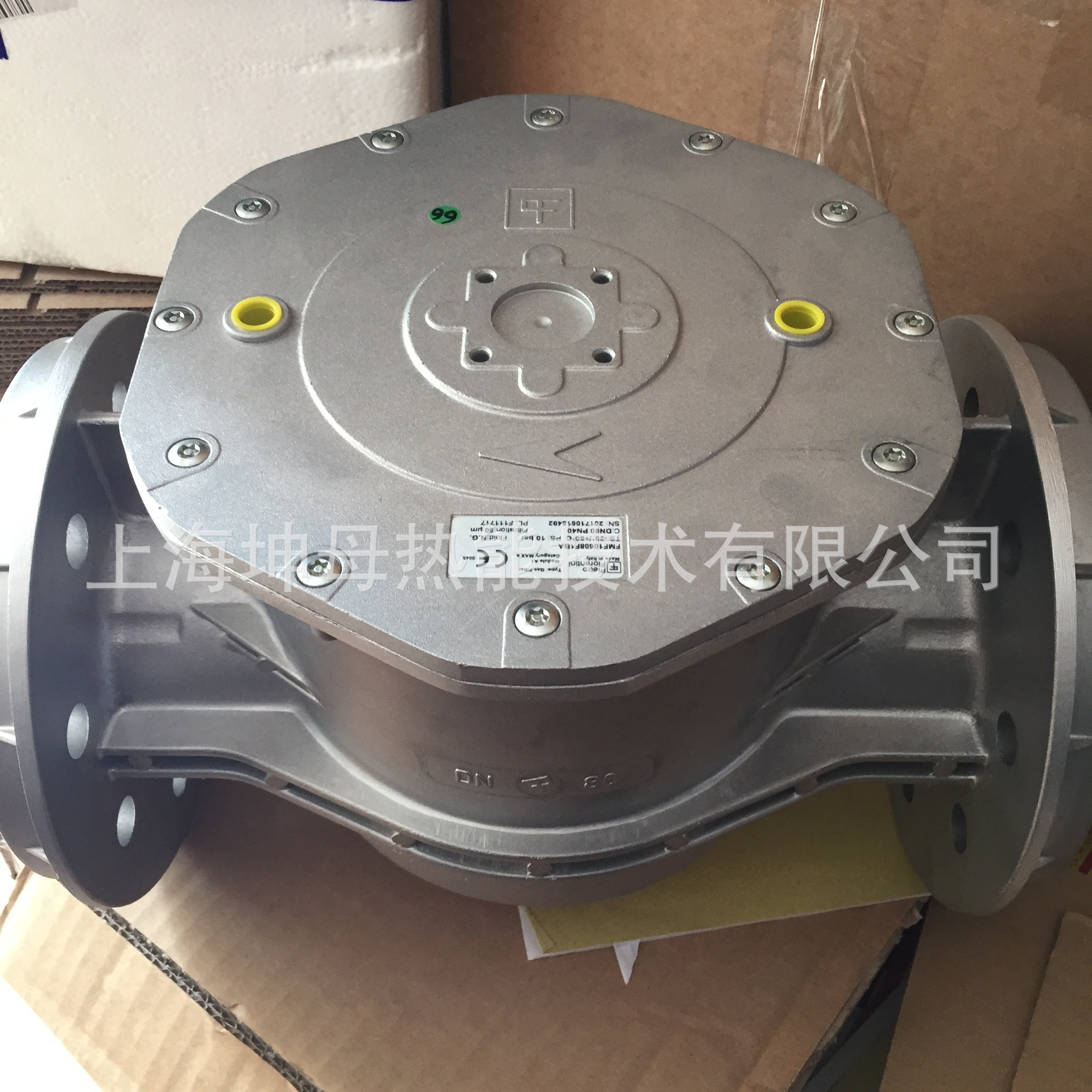 Pietro Fiorentini菲奥燃气过滤器FMF10608/F