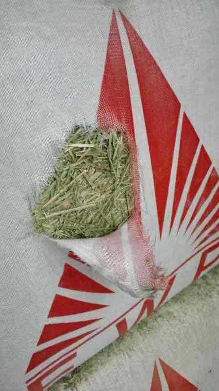 Supply of Us Alfalfa Crude Protein 20 Cattle, Sheep and Horses Feed Alfalfa