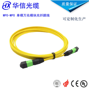 MPO/MTP�A�˽����ɹ��|��ģ���� MPO-4*DLC 12о�������w MPO����
