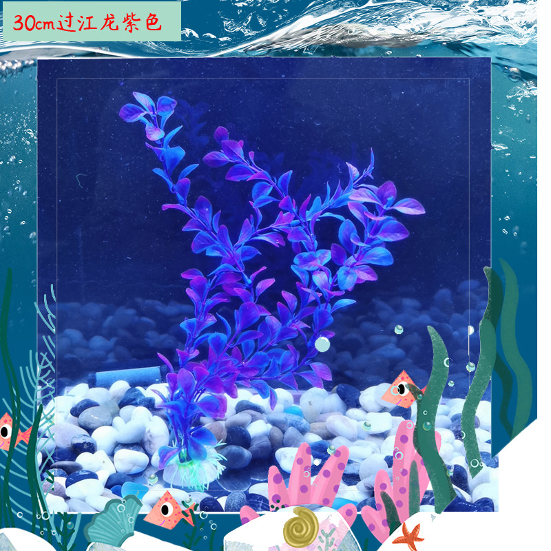 3节过江龙紫色