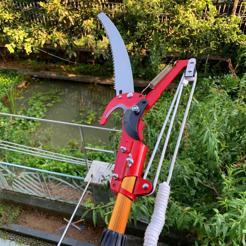 微信图片_20191230103440