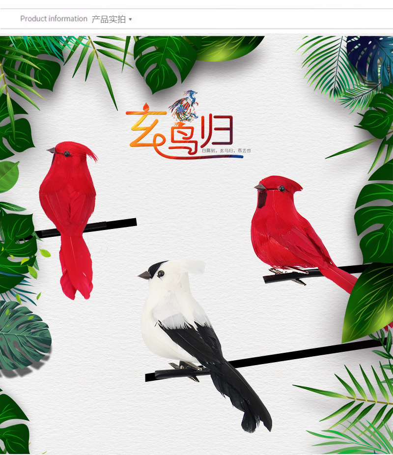 L002小鸟_09.jpg