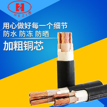 �S�����l������ϩ�^������ȼ�������| ���N��̖�����|