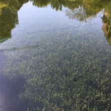 �ӵ�����  �˹���� ˮ�|��������� ���а�ʩ������ˮ�|