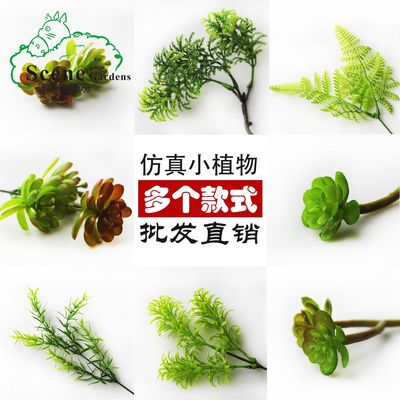 小绿植 微景观仿真植物 塑料花假草 多肉背景植物 DIY微景观材料|ms