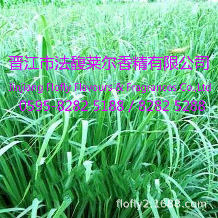 香茅香精，洗衣粉用香精，蚊香香精，洗衣皂用香精