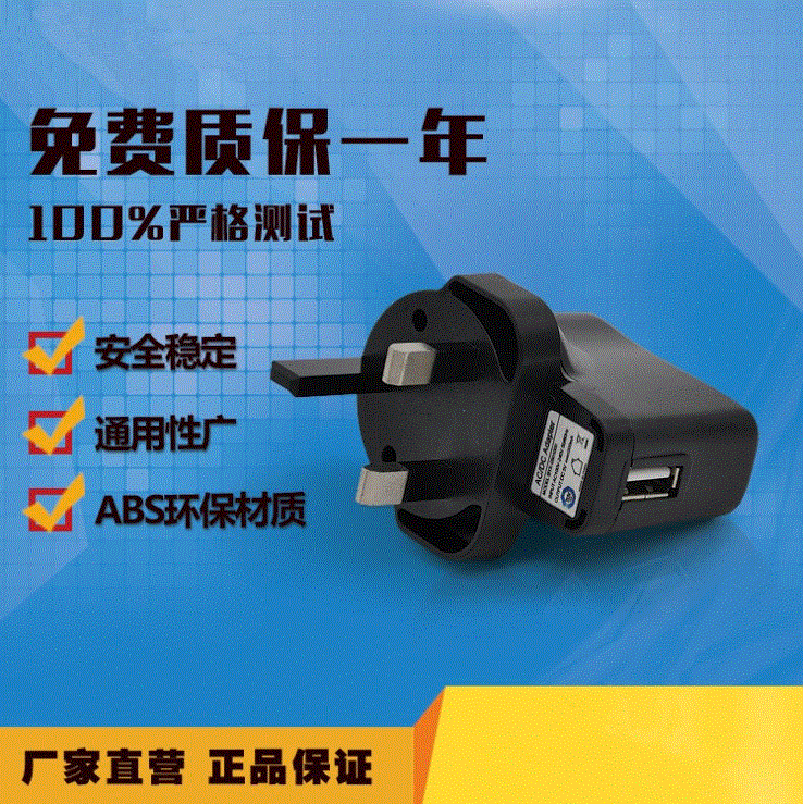 英规充电器 遥控训犬器充电器英规墙充 大英规USB充 英规5V500