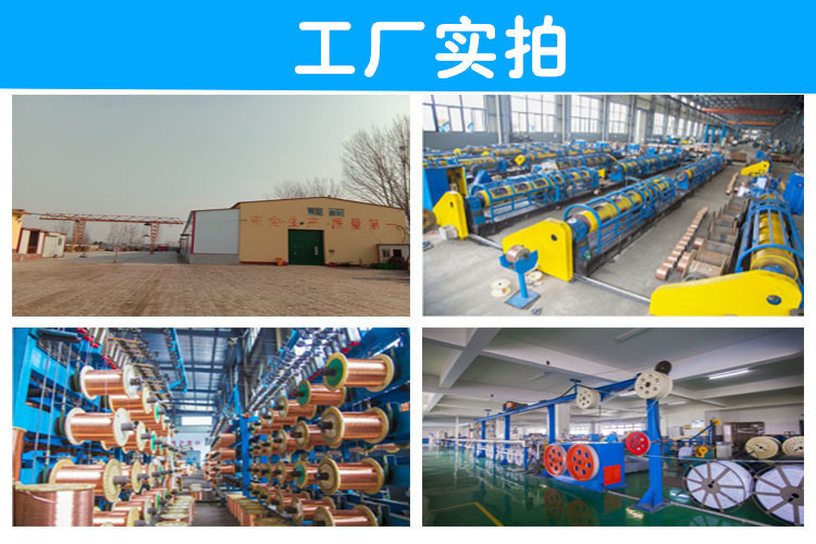 10145088215_529846584