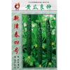 Cucumber seed cucumber seed vegetable seeds wholesale vegetable seed seed seed company