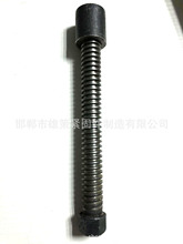 ���ο۽z�U  ������ĸ T�Ϳ۽z�� ��\T�ͽz�U �ߏ���T�ͽz�U