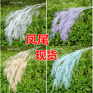 Sl Pβ WtLUFڡ Y쾰FPβ