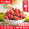 goods in stock bulk Jiangxi Province Gardenia 500g edible Lurou Color Condiment Spices wholesale