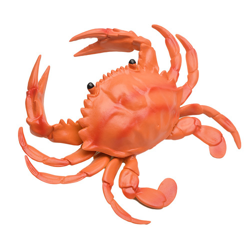 Simulated large crab soft plastic marine animal model simulated crab pinching and screaming children's science and education cognitive scene props