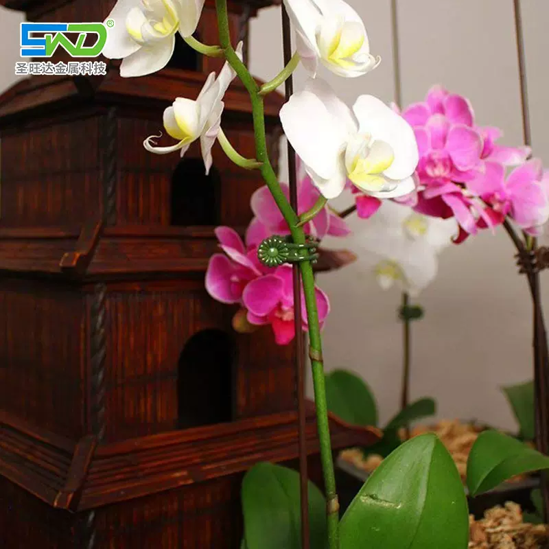 塑料兰花夹子工厂定制蝴蝶兰支架花夹园艺配件植物花卉造型固定夹