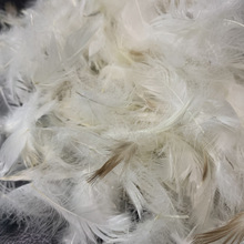 广东羽绒羽毛厂家现充羽绒水洗白鹅毛片4-6cm羽绒靠包座包沙发