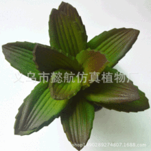 �������ֲ�� ���Q����ֲ��С�辰 ���Q�����������S�Ҷ������