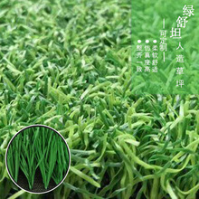 Tƺƺ\ӽKSҹ؛ĥʹÉL