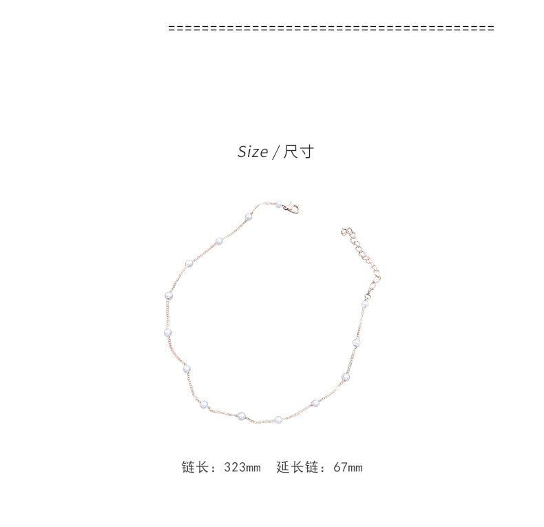 O1CN01POTmoa1oJ1GSFNt5i_!!1740