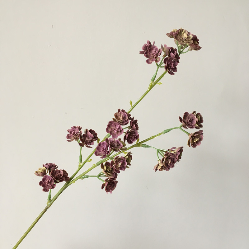 微信图片_201910101657052_副本