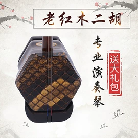 拉弦类乐器;乐器配件