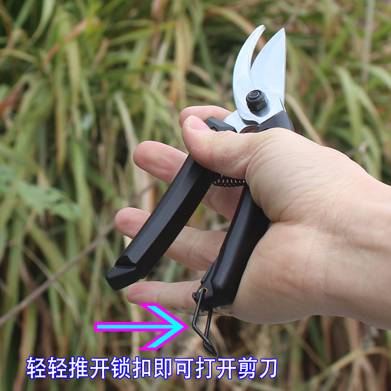 SK5钢修枝剪园艺剪刀修枝剪花枝剪果树剪花艺剪粗枝剪树枝粗枝剪-阿里巴巴