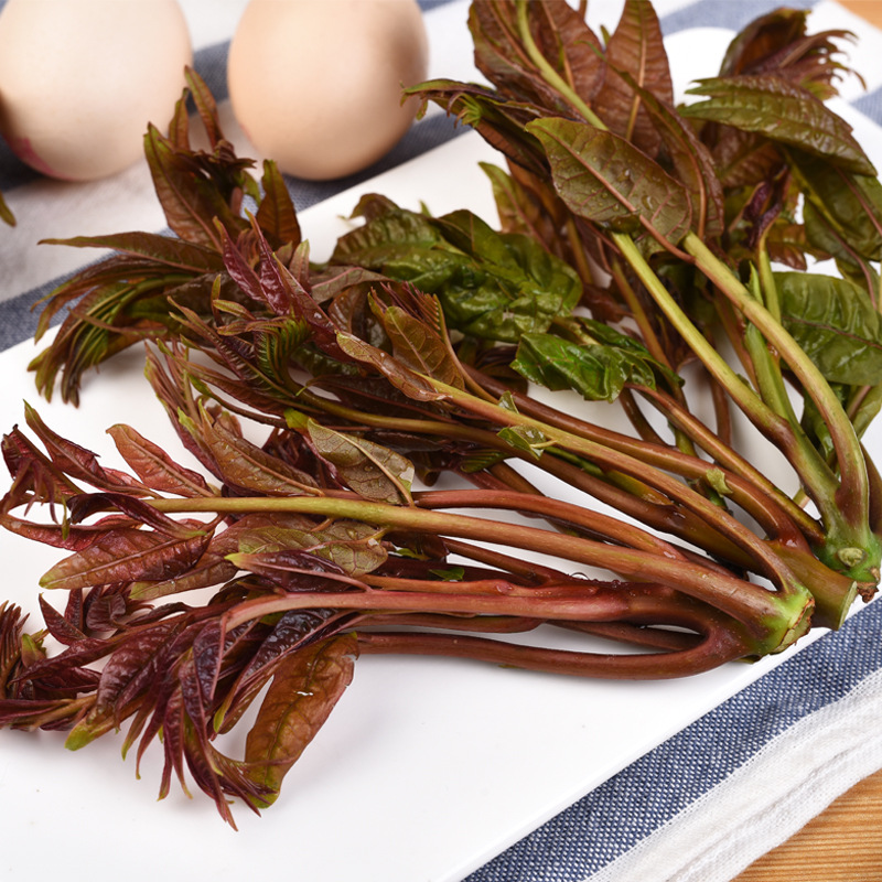 【深山头茬香椿】现摘现发原生态当季野生椿芽500g|ms