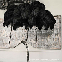 ��ʢ��60-65cm�r�Bë�֗U�r�B��ë�F؛С�� ��ɫ��ë���|�r�Bë