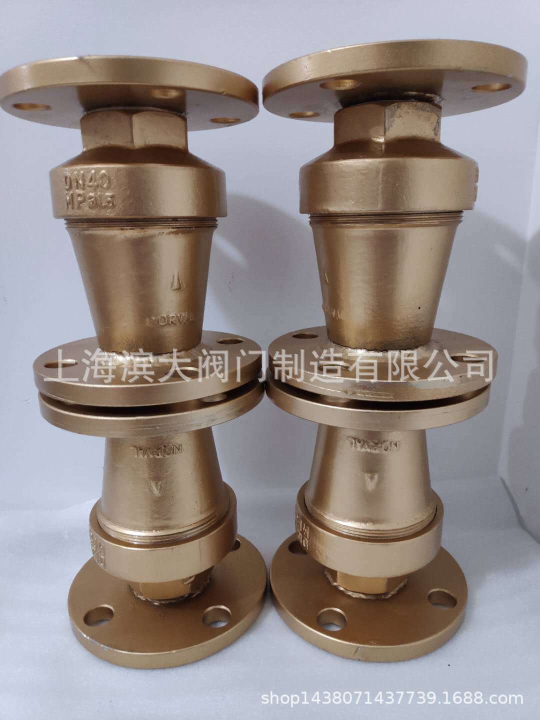 SHNF法兰全铜锥形止回阀 电站气力输送逆止阀DN40-DN100