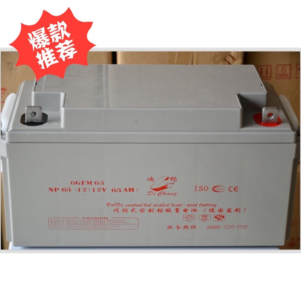 德国迪畅蓄电池UPS不间断 6GFM100 12V100AH全新