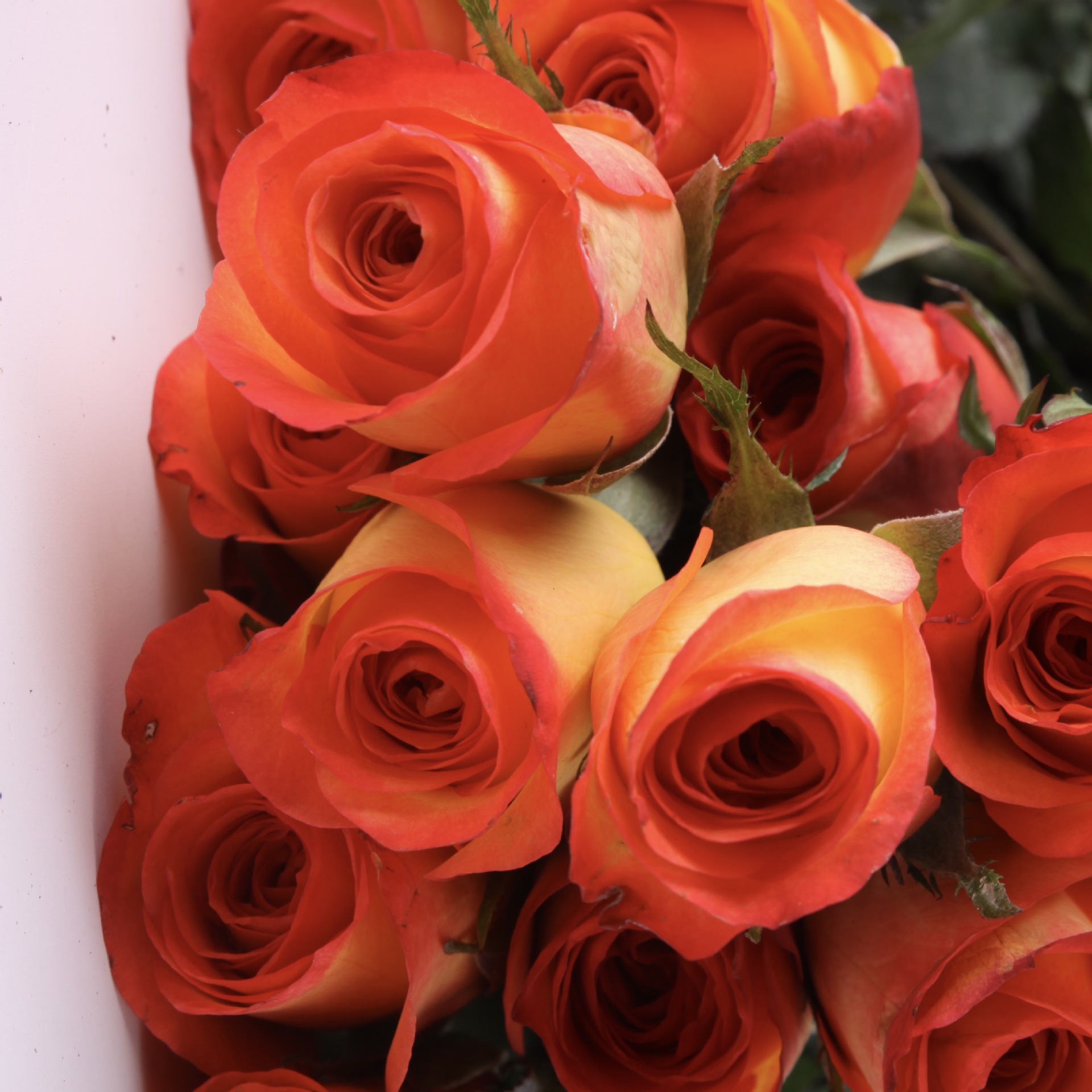 7a961e32a48d440f4a6f5e093df643