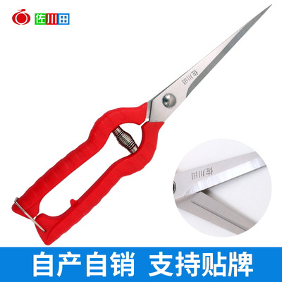 佐川田 905加长 稀果剪 摘果剪 黑枸杞 花椒采摘工具 剪刀 采果剪|ms