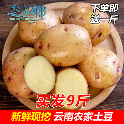 【送一斤】发9斤云南新鲜小土豆红皮白皮土豆8斤马铃薯洋芋|ru