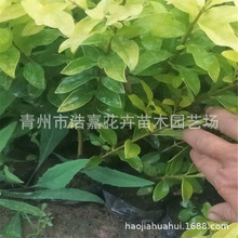 ���~Ůؑ�� �ļ����G��·�G���^�pֲ����~ŮؑС�煲���� ������