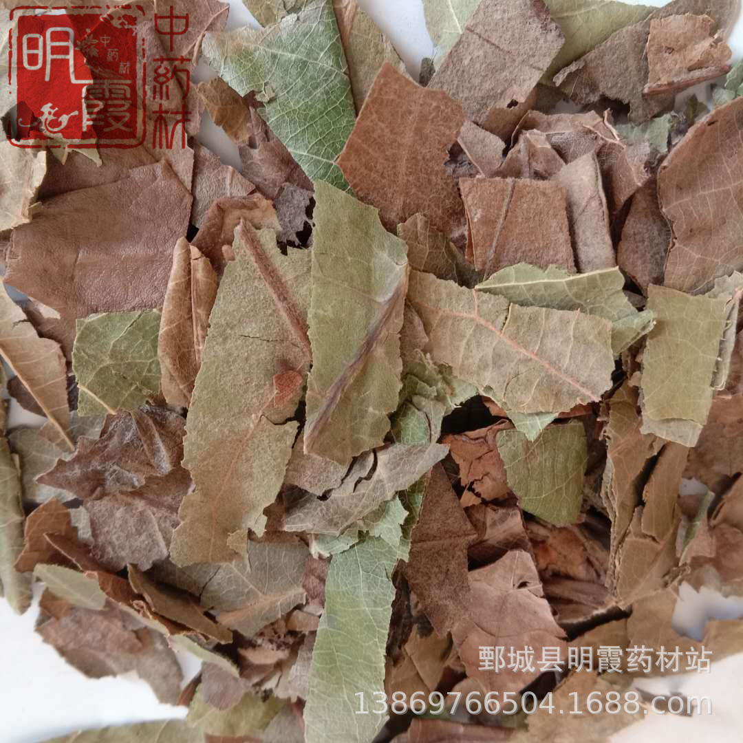 批发零售供应中药材 巴叶【枇杷叶】1000克