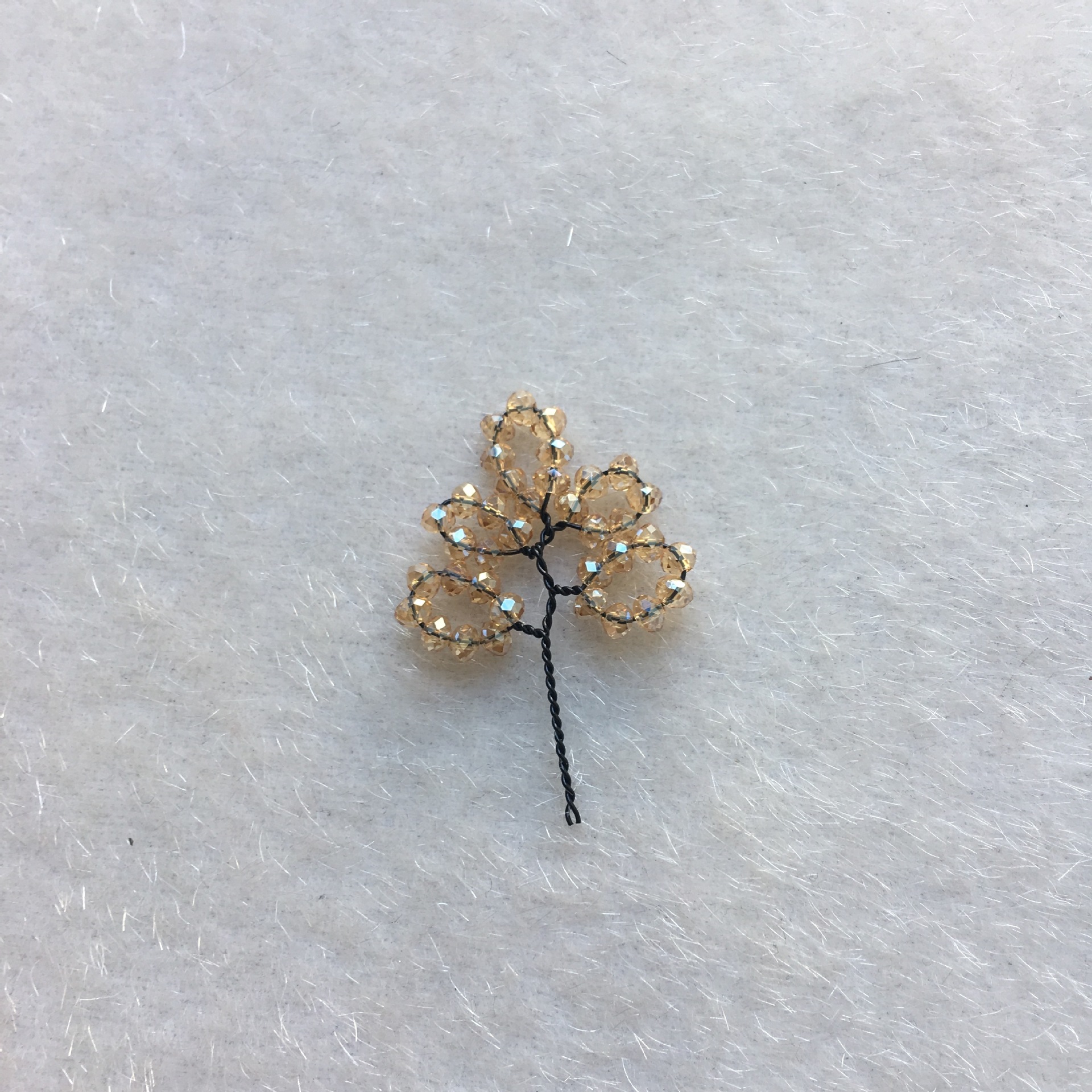 IMG_8893(20190524-195840)