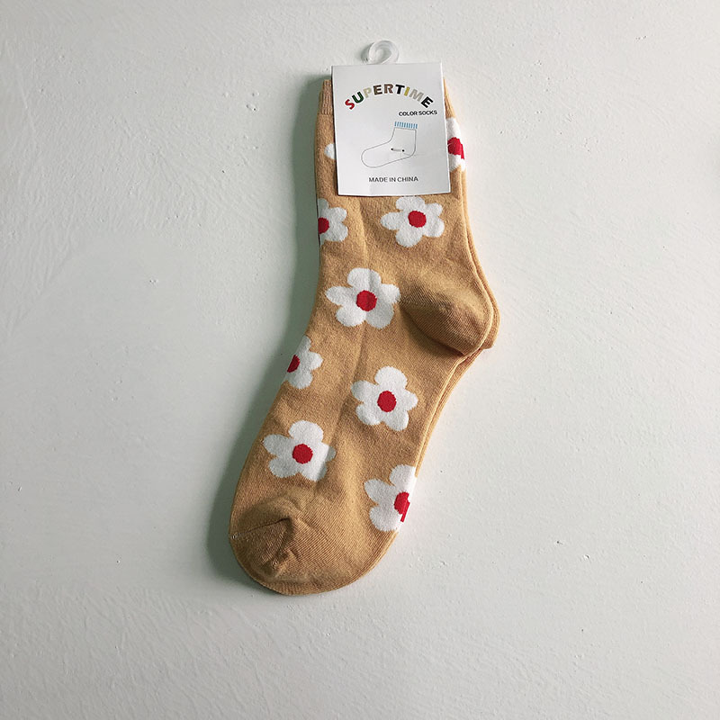 IMG_0535(20191107-154513)