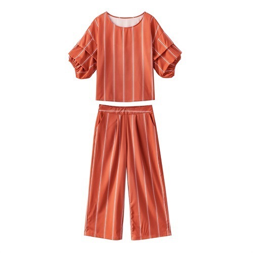 Copper Ammonia Wide-legged Pants Suit for Women Summer New Fashion We