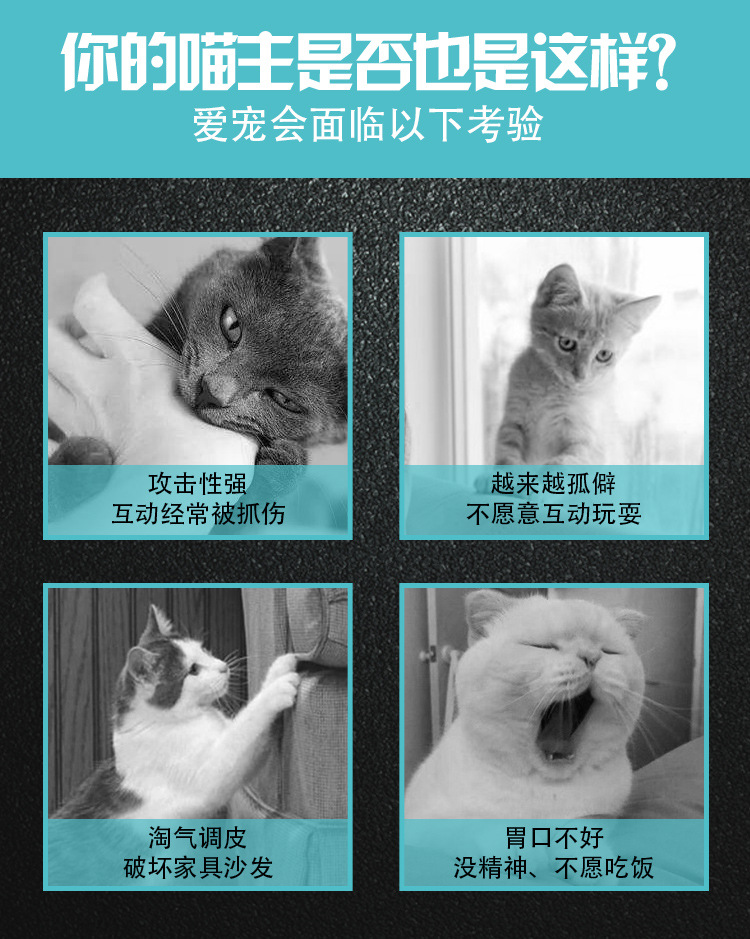 木?逗猫棒?情0_03.jpg