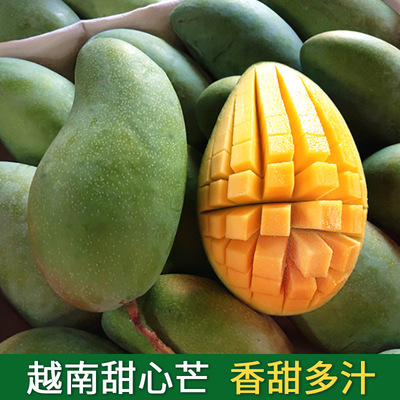 Vietnam Imported Sweetheart Boutique Season Qingmang fresh fruit Mango Qingmang ZF